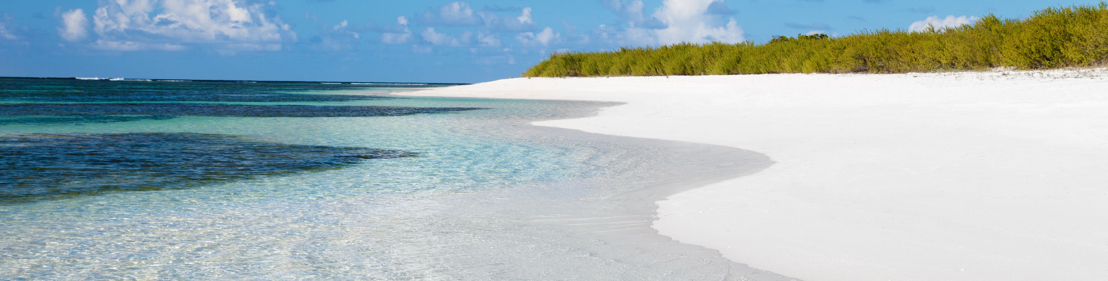 White sandy beach, with ocean shoreline. 