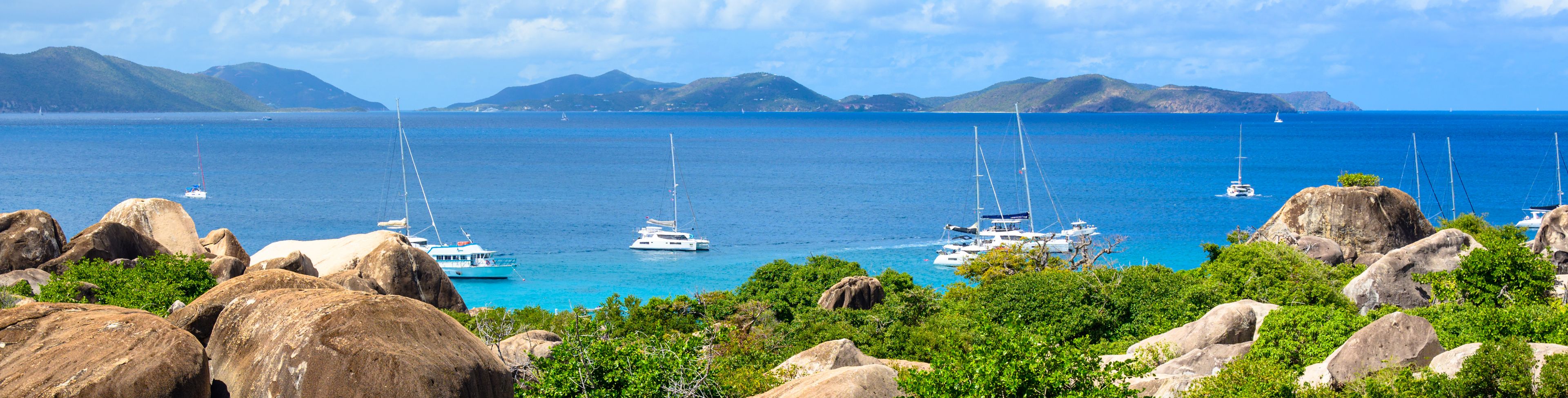 View of rocks and greenery with ocean in the distance. 