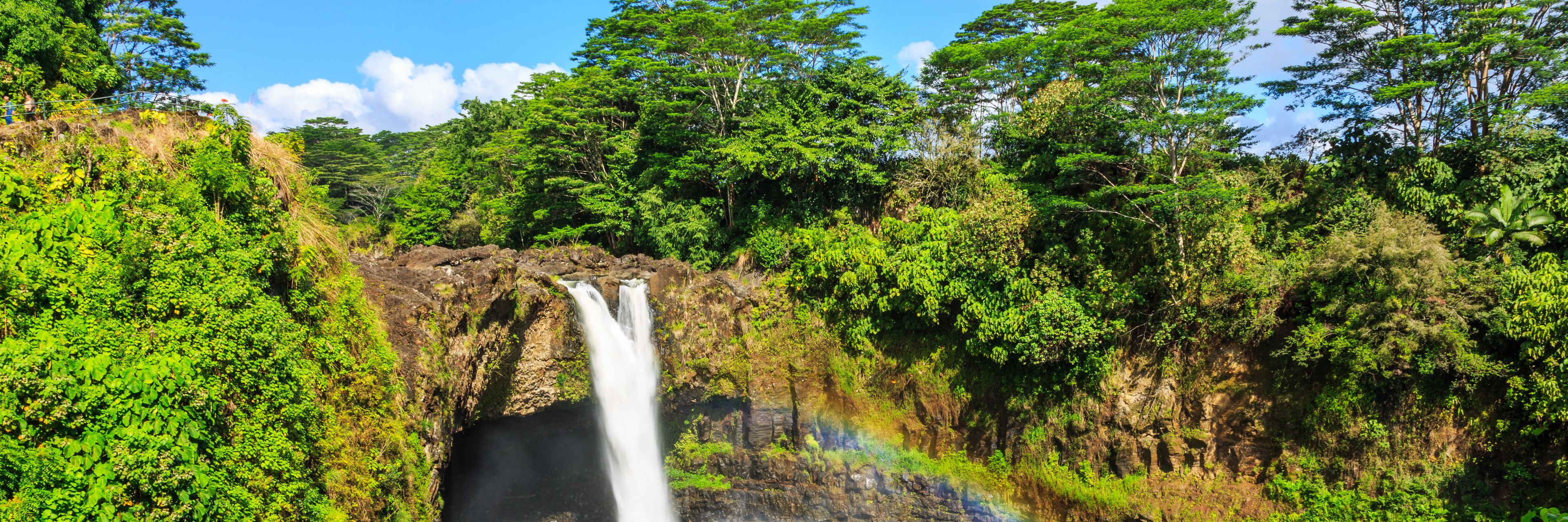 Waterfall surrounded by trees. 