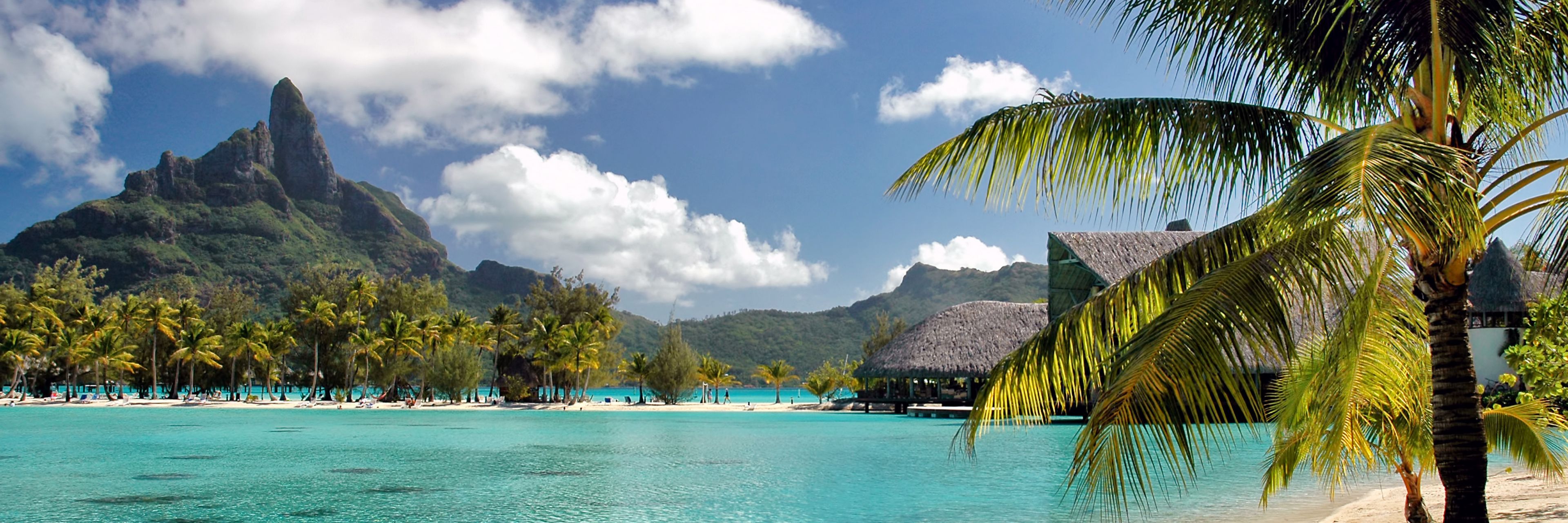 Sandy beach overlooking blue water. 