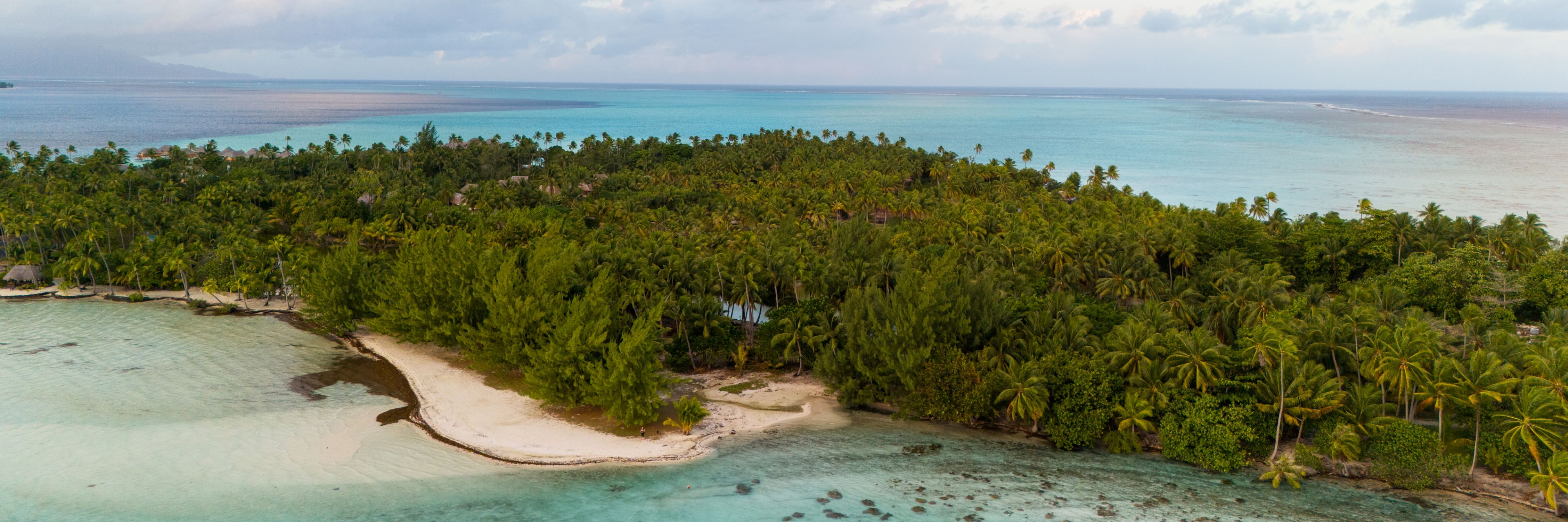 Island full of trees and a sandy beach surrounding the edges. 