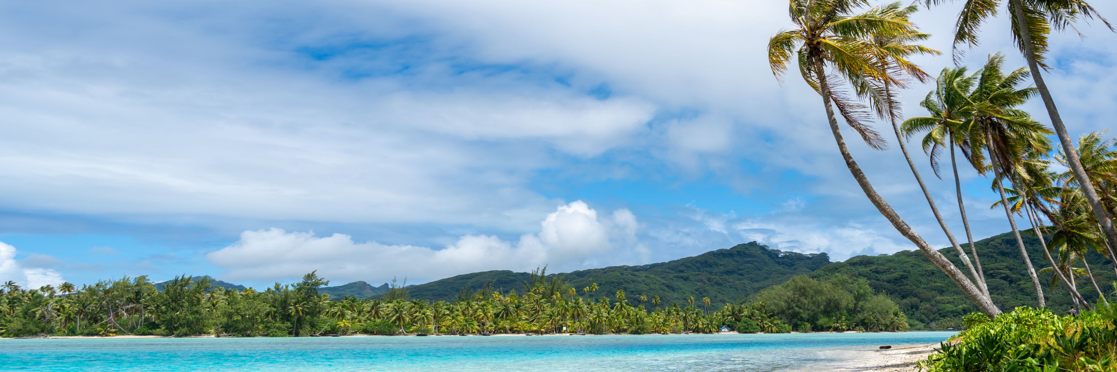 Sandy beach overlooking blue water. 