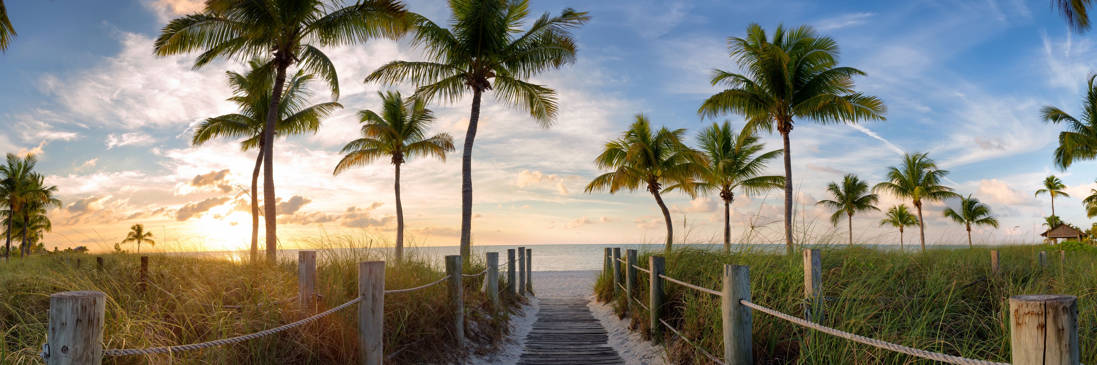 Sandy walkway at sunset, surrounded by palm trees. 