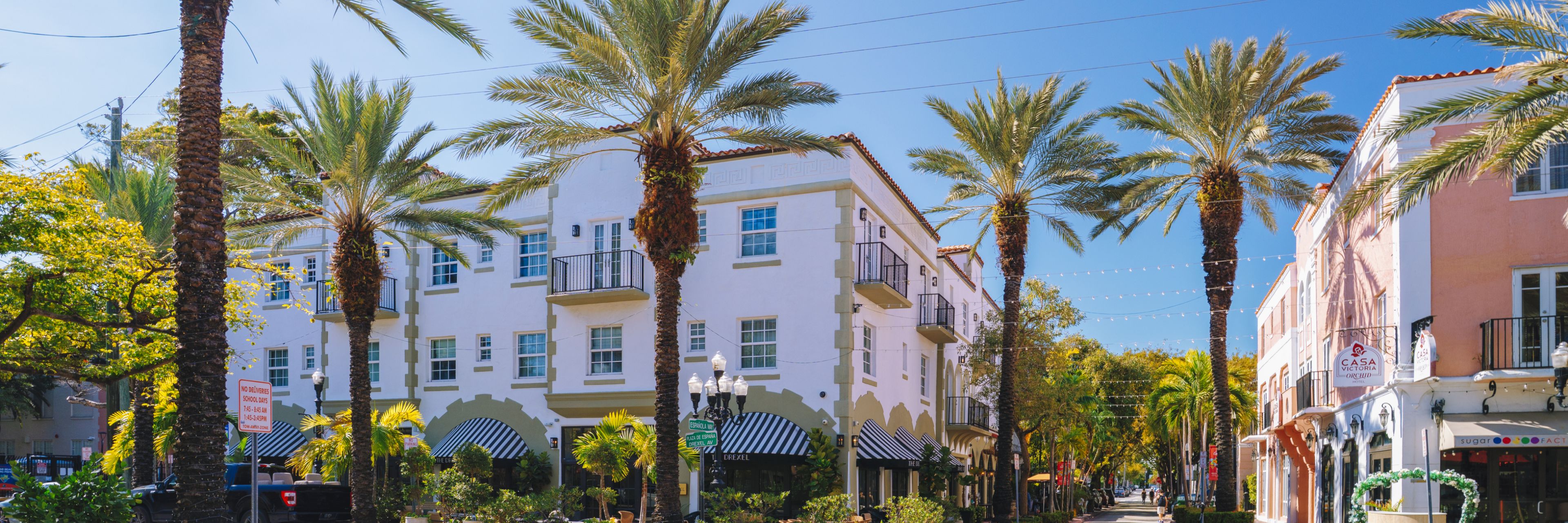 Town center full of palm trees and buildings. 