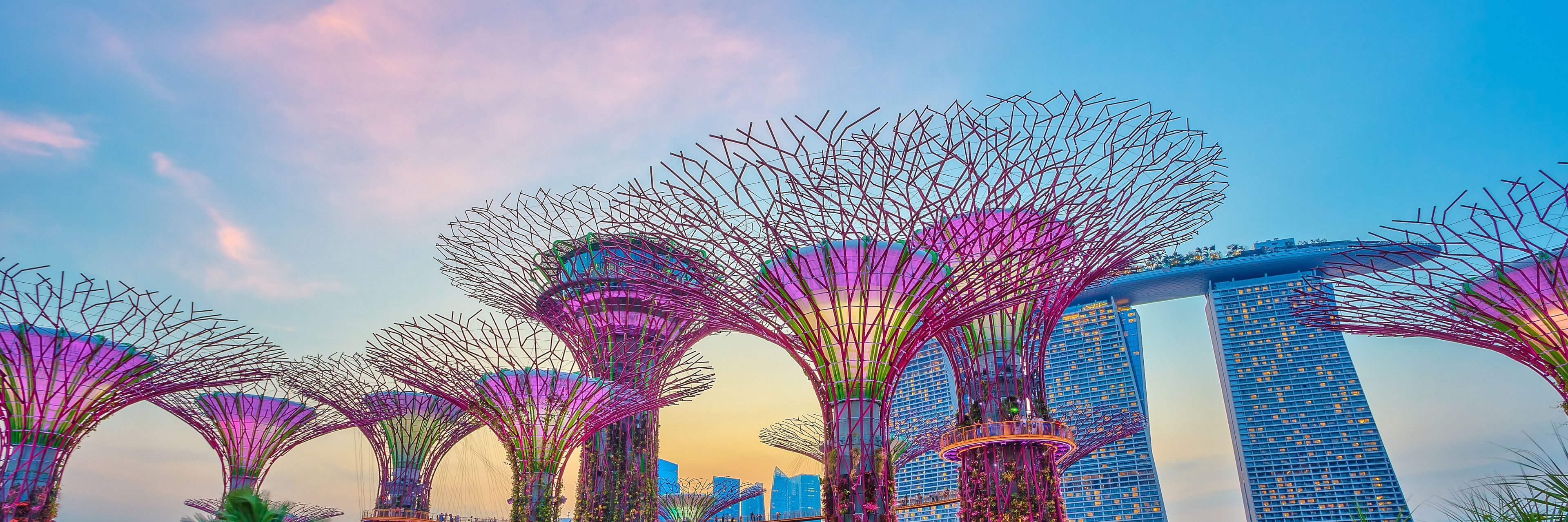 Tree sculptures in a park, city in the distance. 