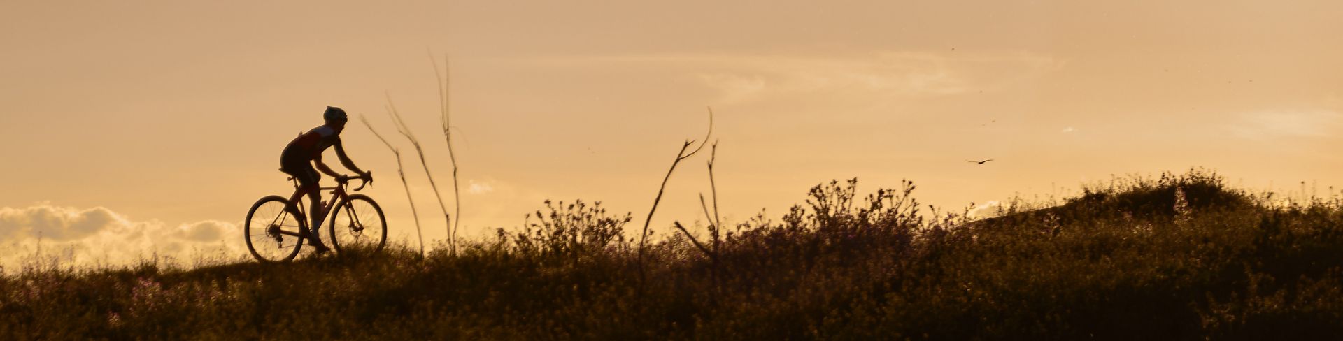 Cyclist cycling up a grassy hill. 