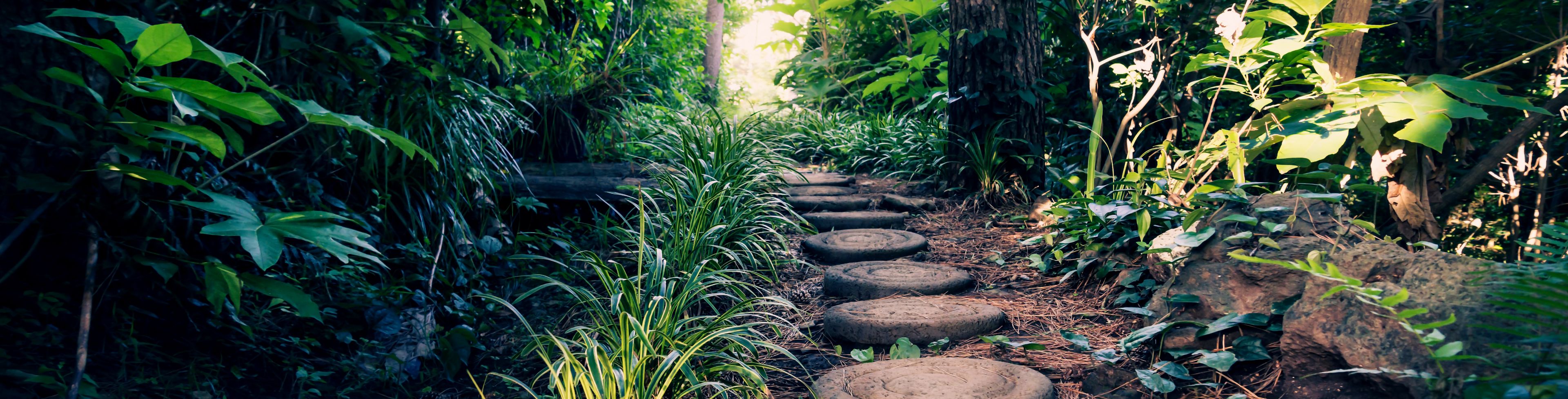 Stones along a path between trees. 