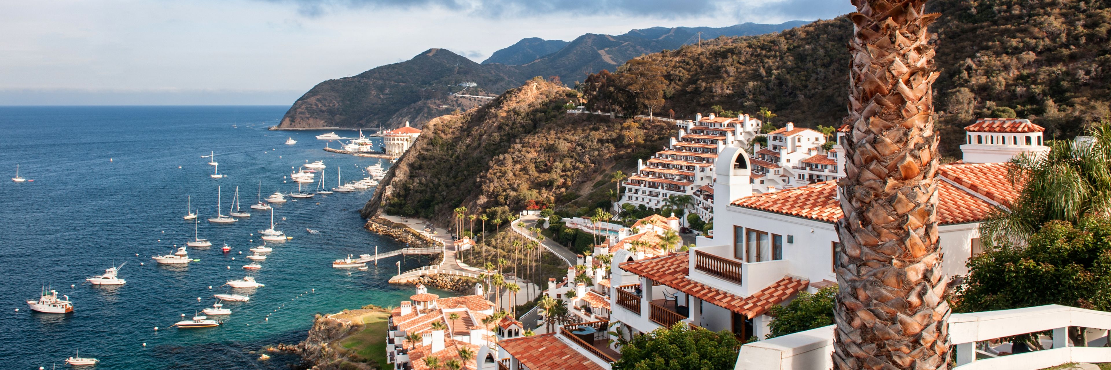 Catalina Island, California, USA.
