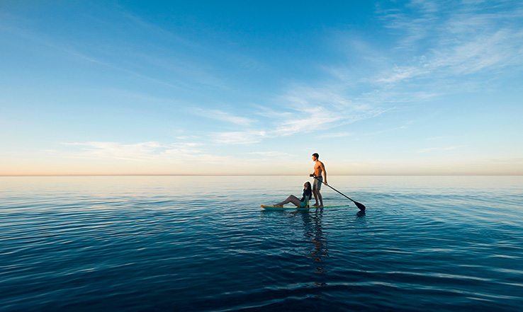 Two people paddle boarding on the ocean. 
