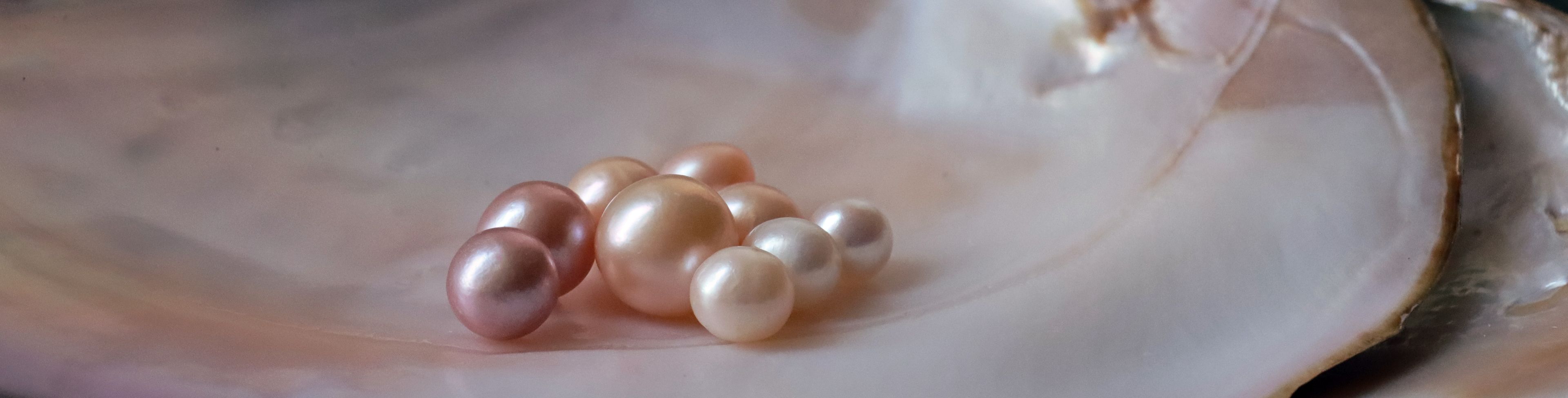 Pearls in a shell.