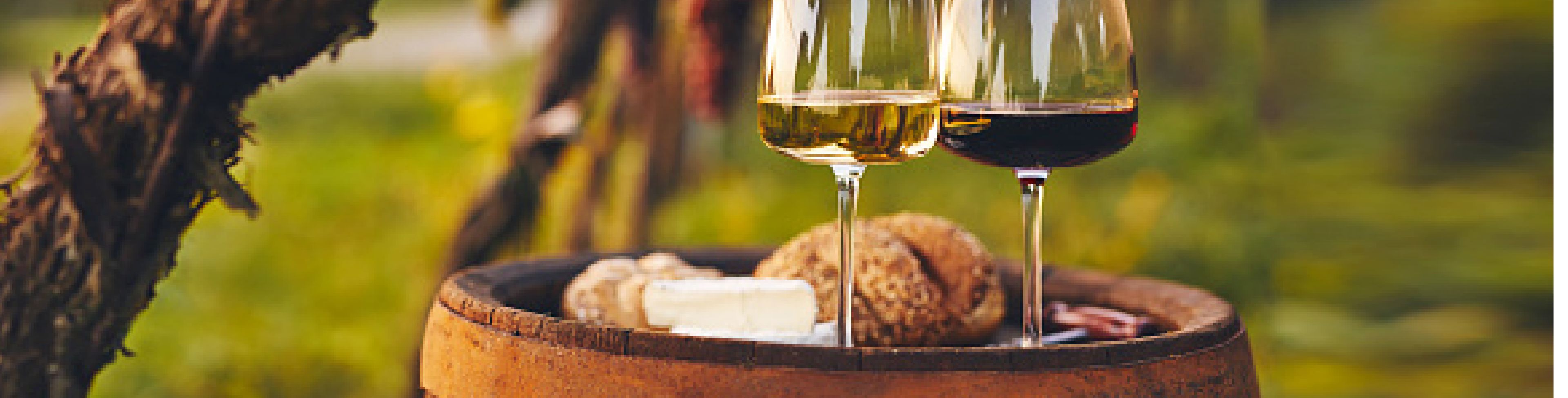 Two different wine glasses and wines on a barrel in a vineyard.