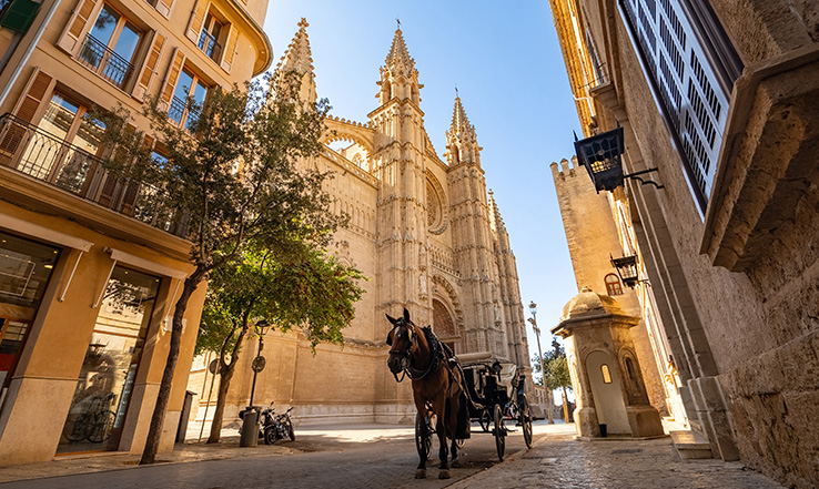 Street view of tall, older buildings, with a horse and cart waiting on the street.