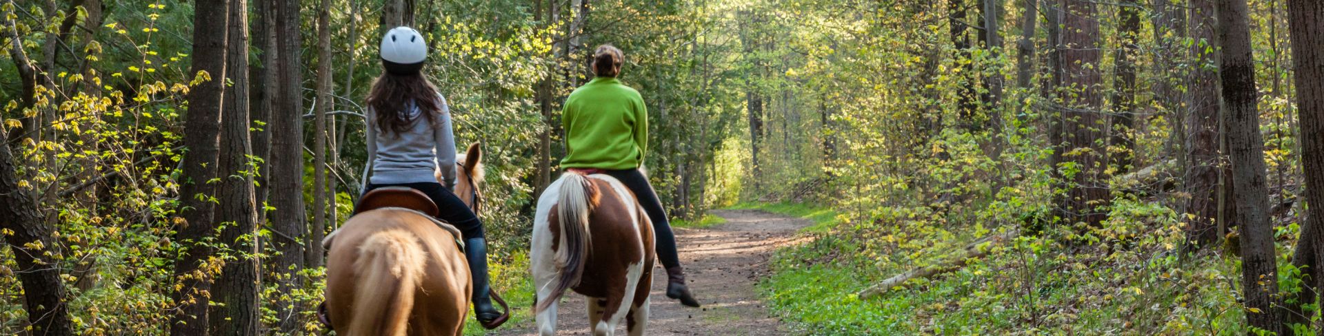 People on horseback ride through a heavily forested area.