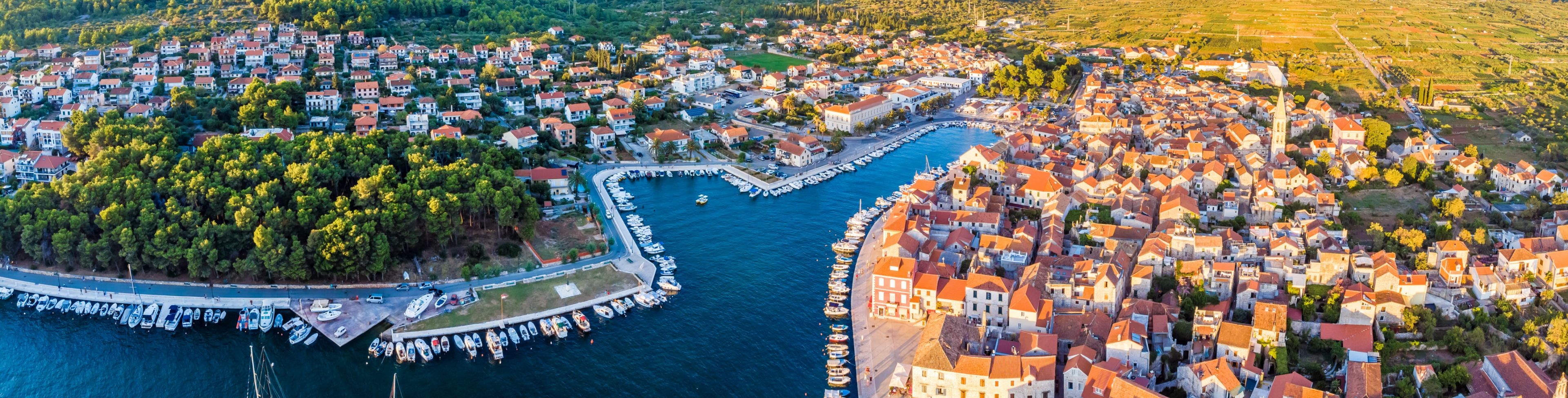 Aerial view of city and ocean.