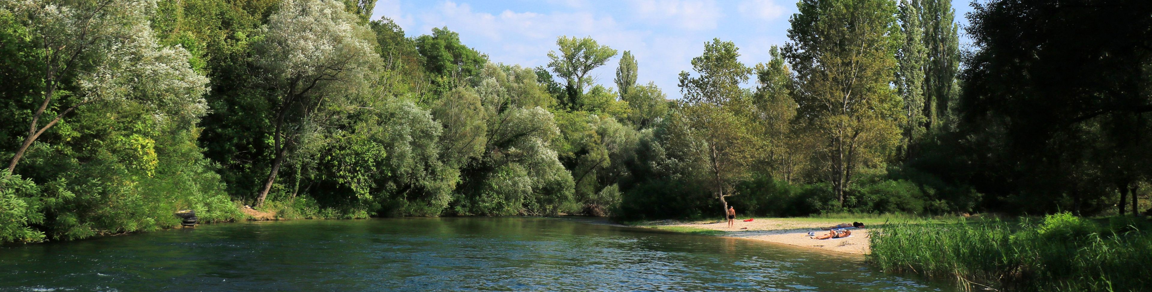 River surrounded by forest.
