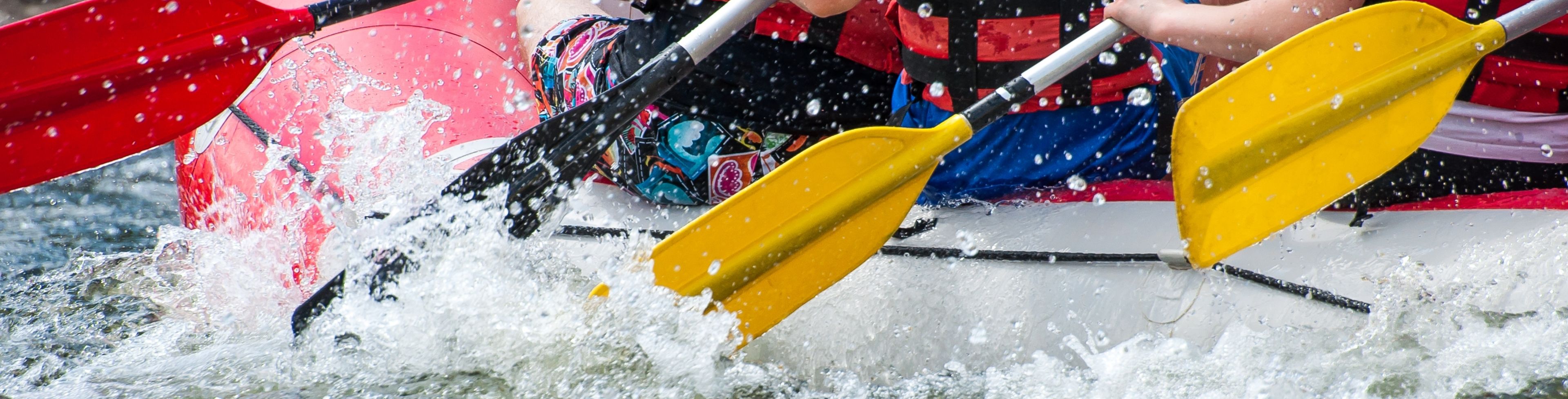 People white water rafting with paddles in river.