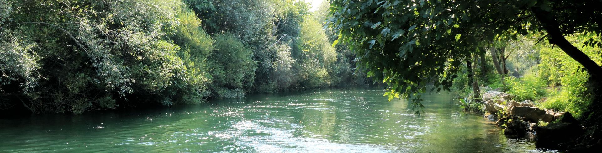 A river flows between forest.