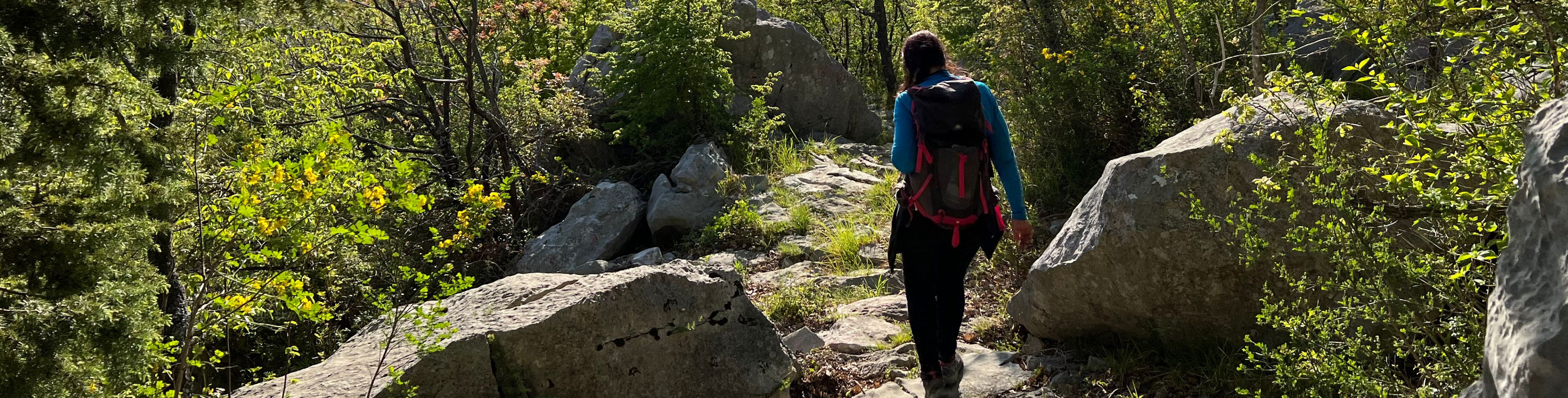 Woman walking trail in National Park.
