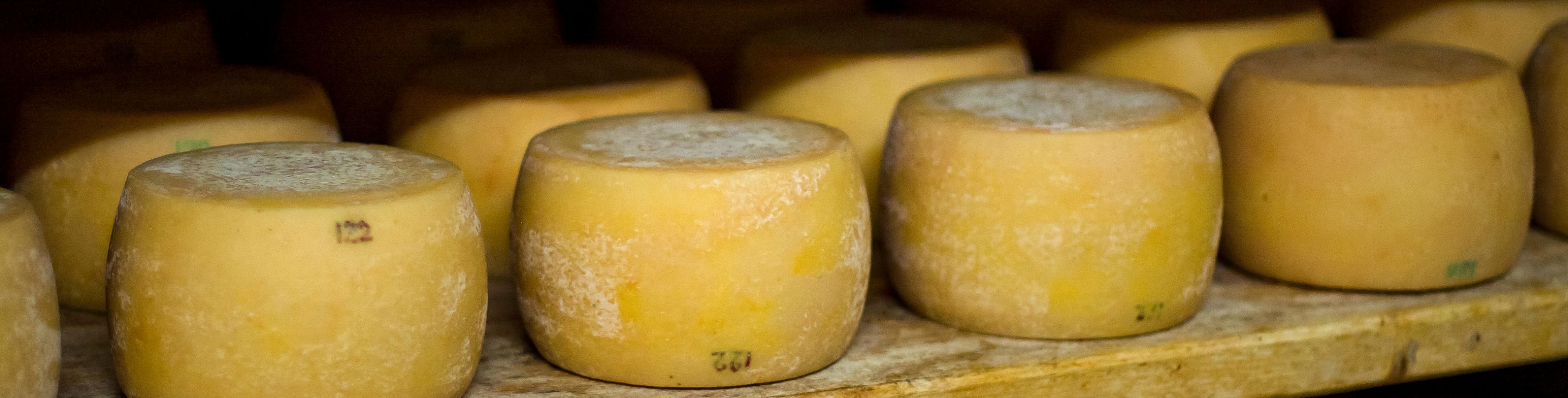 Multiple cheeses sit on shelves.