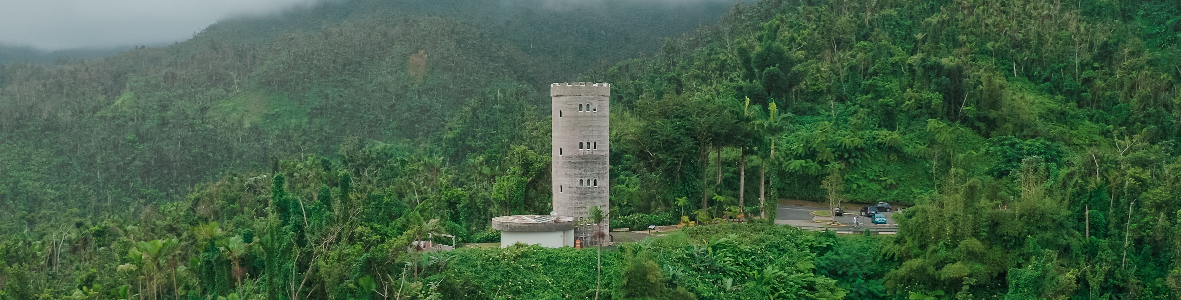Old castle in the middle of a forest. 