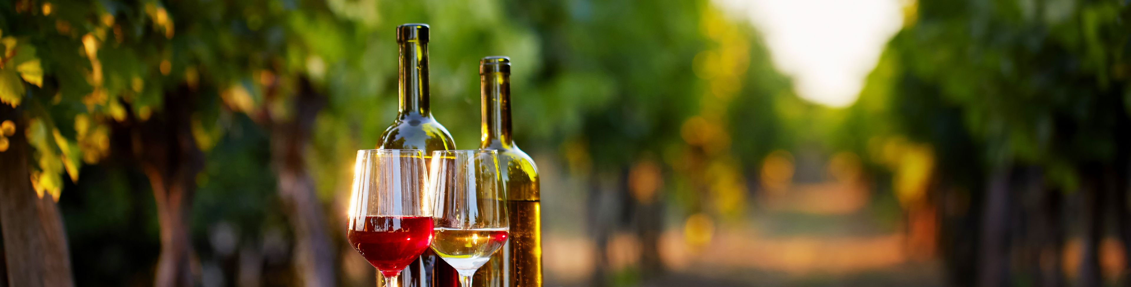 Wine bottles and glasses on top of barrel with vineyard in the background.