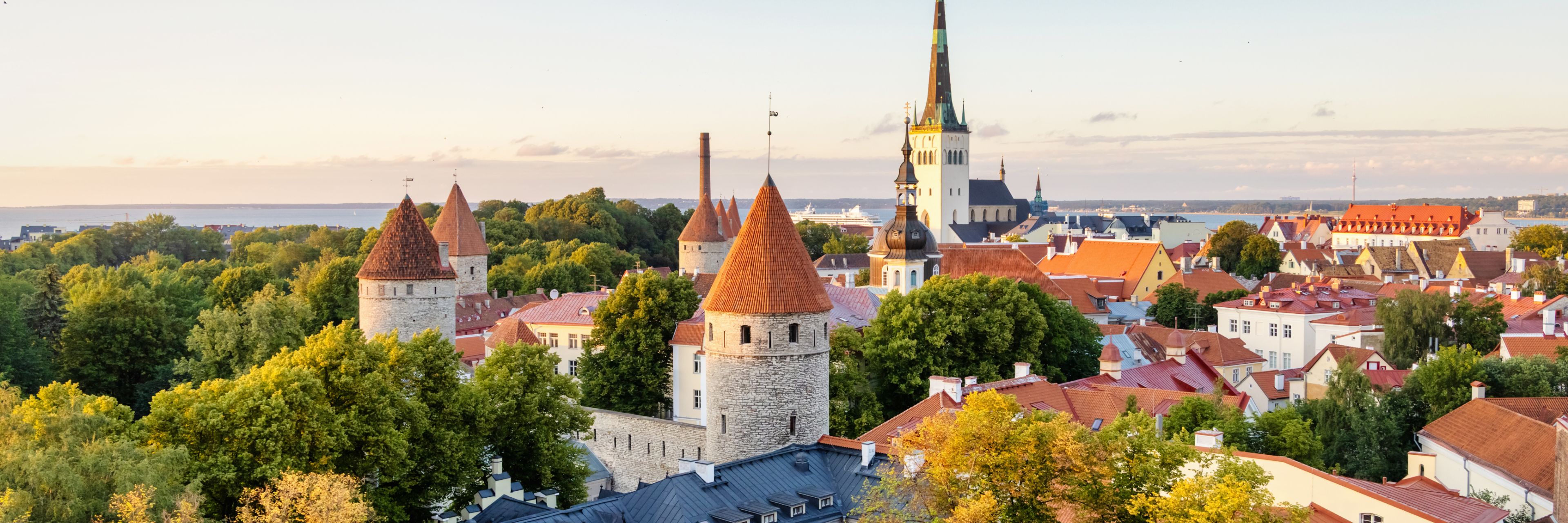 Sky view of city and castle tower.