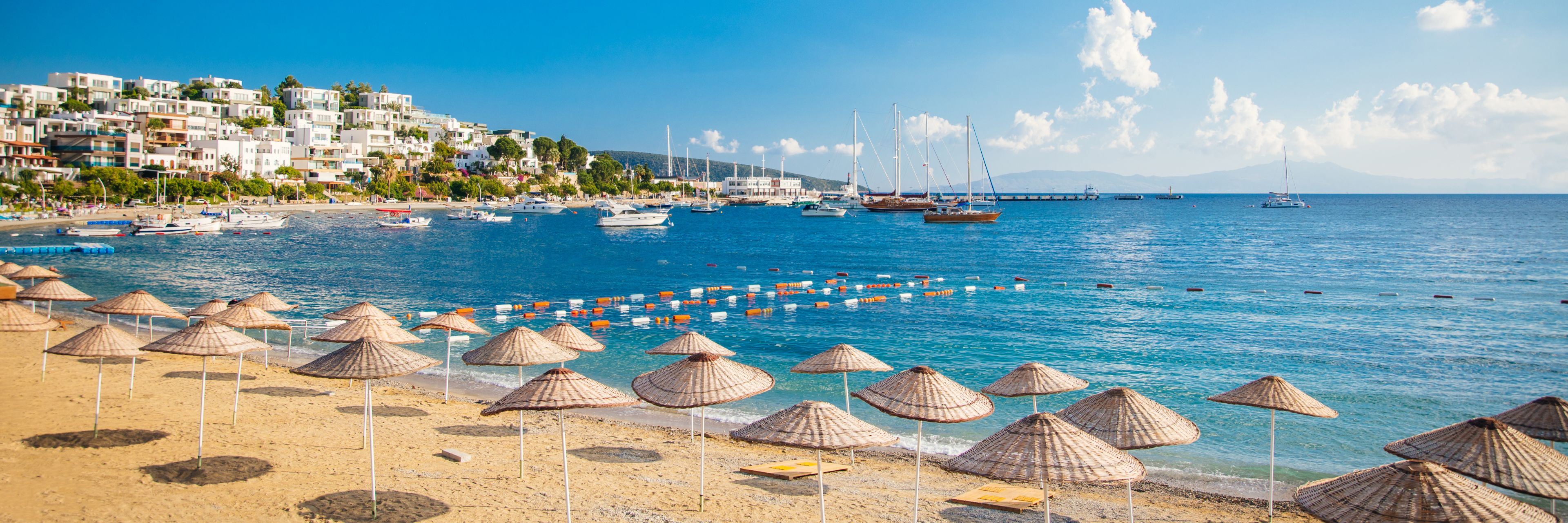 Many beach umbrellas set up on the beach in front of a marked off swimming area.