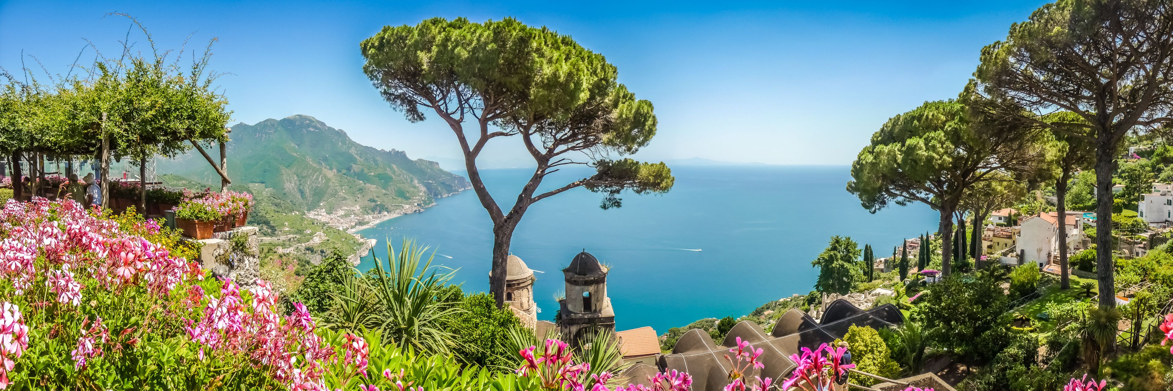Mountain top view looking out at the ocean, while surrounded by nature.