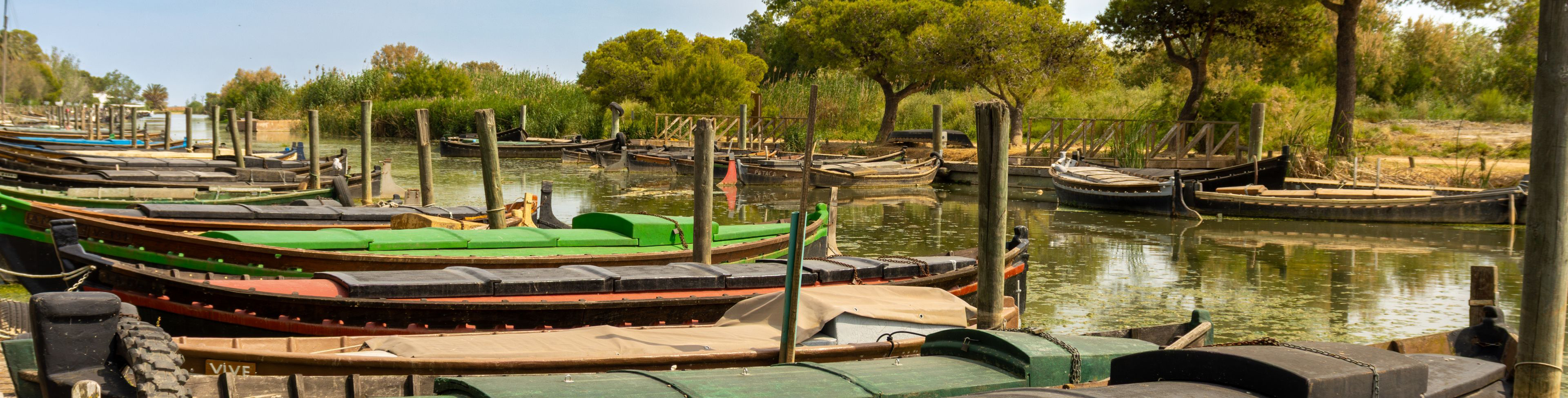 Boats lined up along the waters edge.