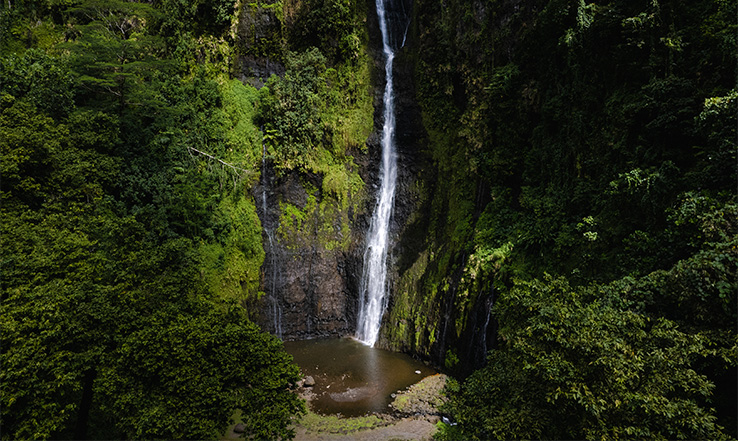 Tall waterfall going down cliff into a natural pool of water below.