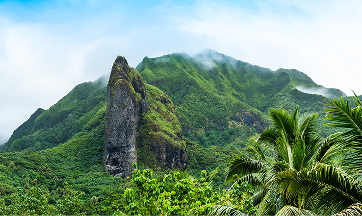 Mountain side full of forest and greenery.