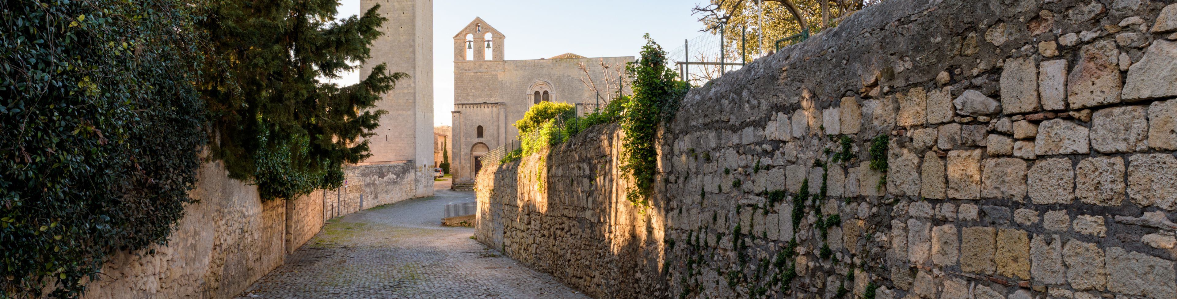 Stone walkway surrounded by stone walls and nature with buildings in the distance.