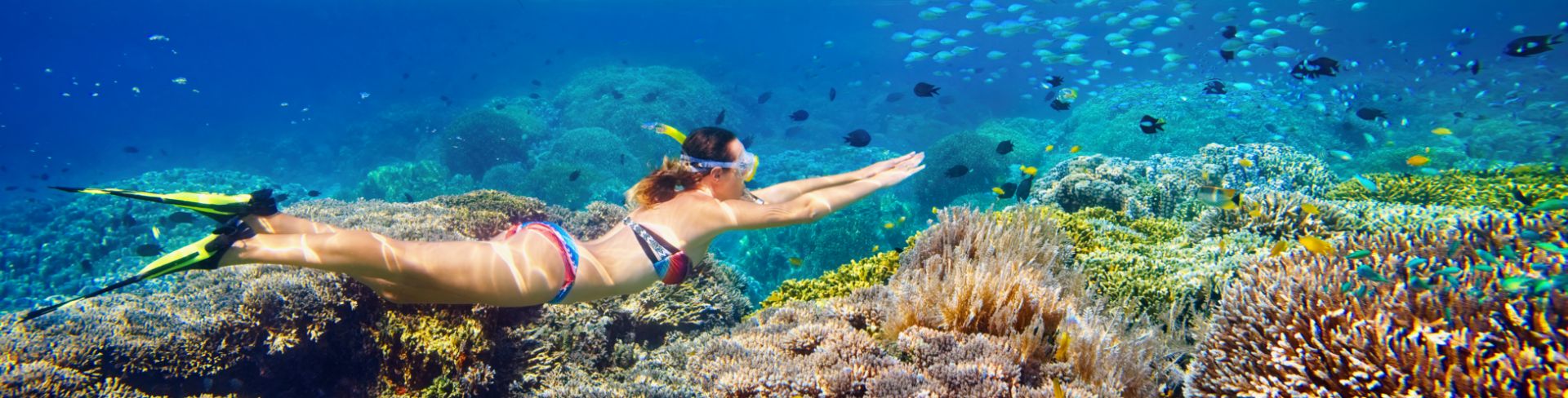 Person snorkeling in the ocean. 