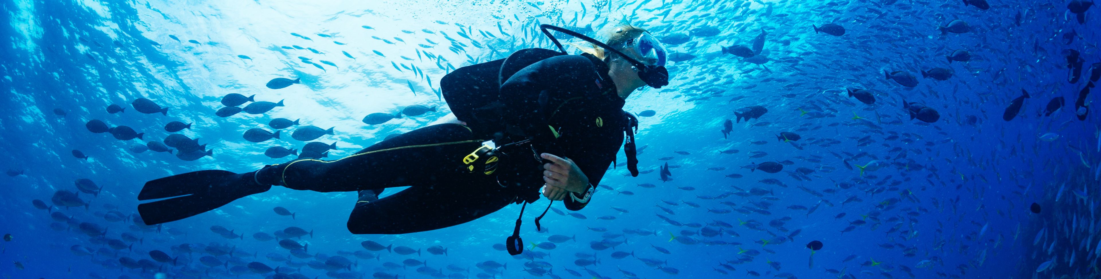 Person scuba diving under water.