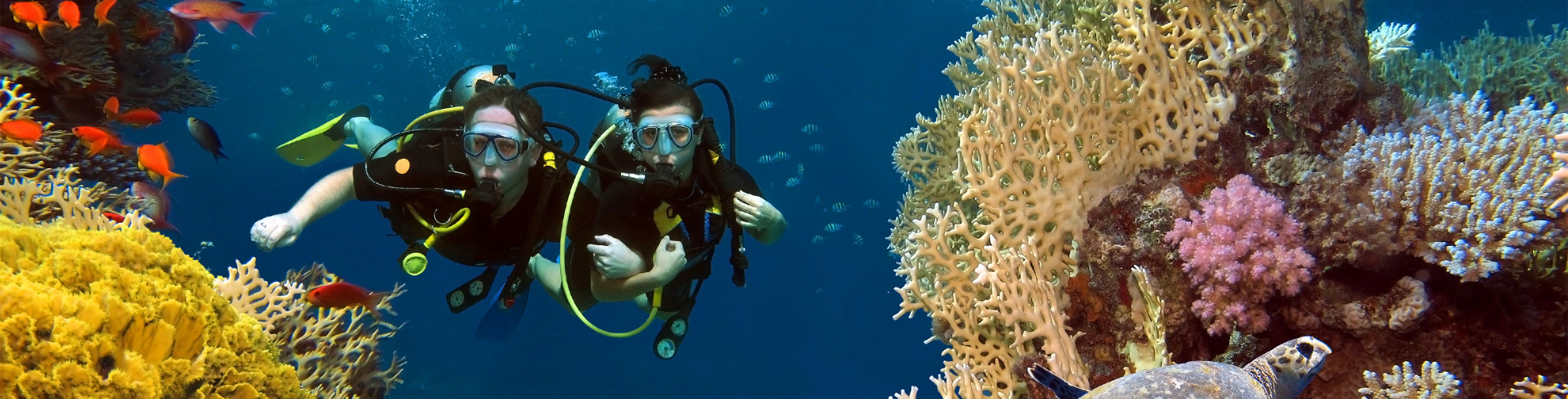 Two people scuba diving around a underwater reef.