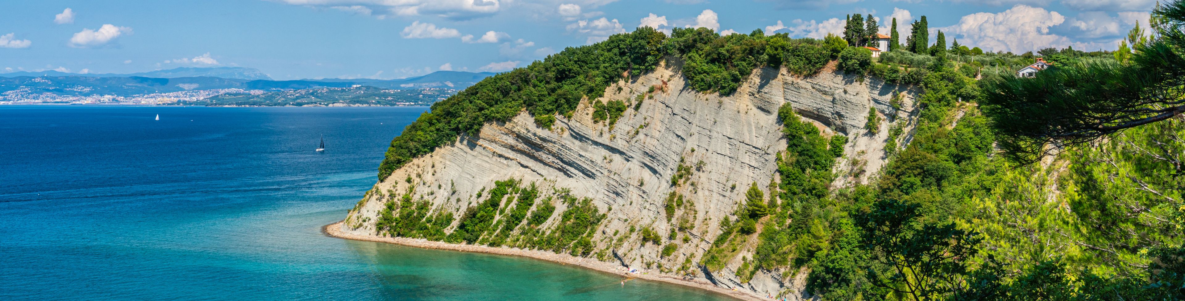Trees top a steep cliffside overlooking the ocean.