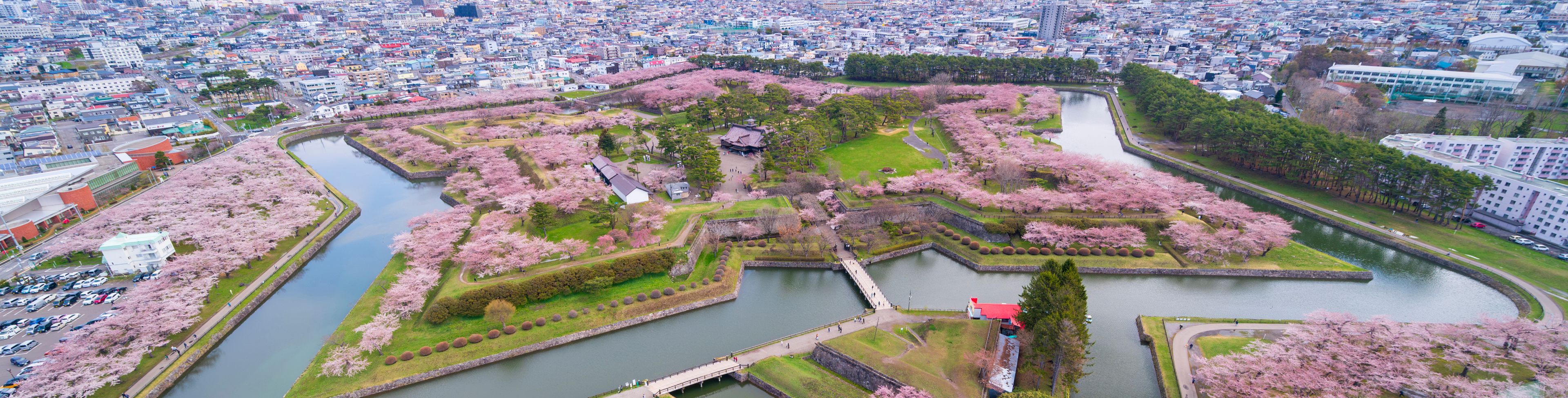 Aerial view of star shaped canal surrounding land and buildings.