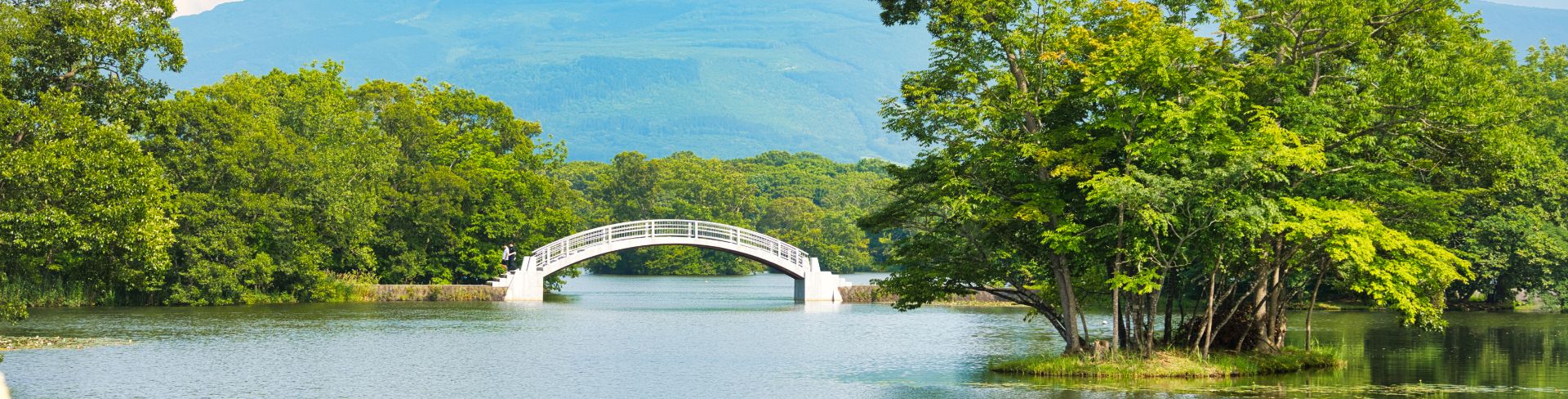 Large lake surrounded by nature and a bridge going over the water.