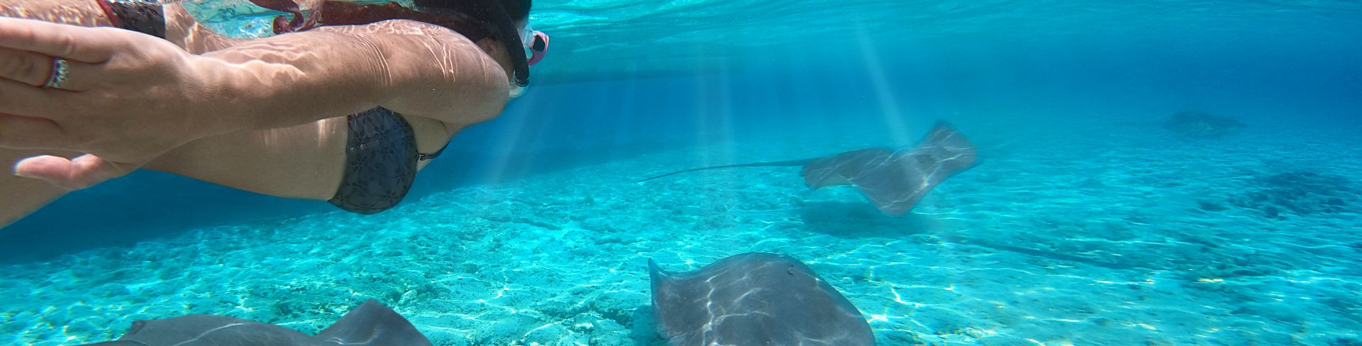 Woman snorkeling with manta rays.