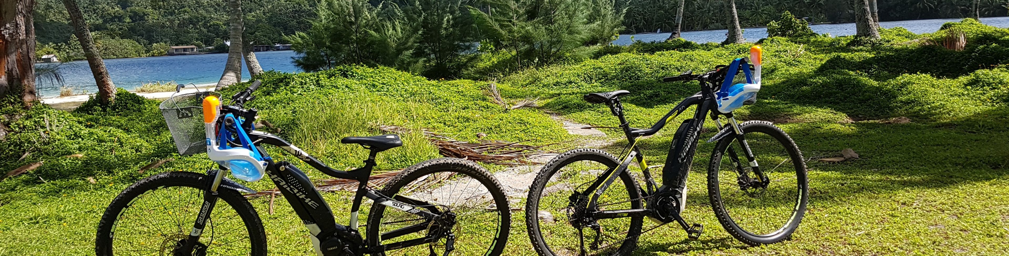 Two e-bikes sitting on a trail with nature surrounding them.