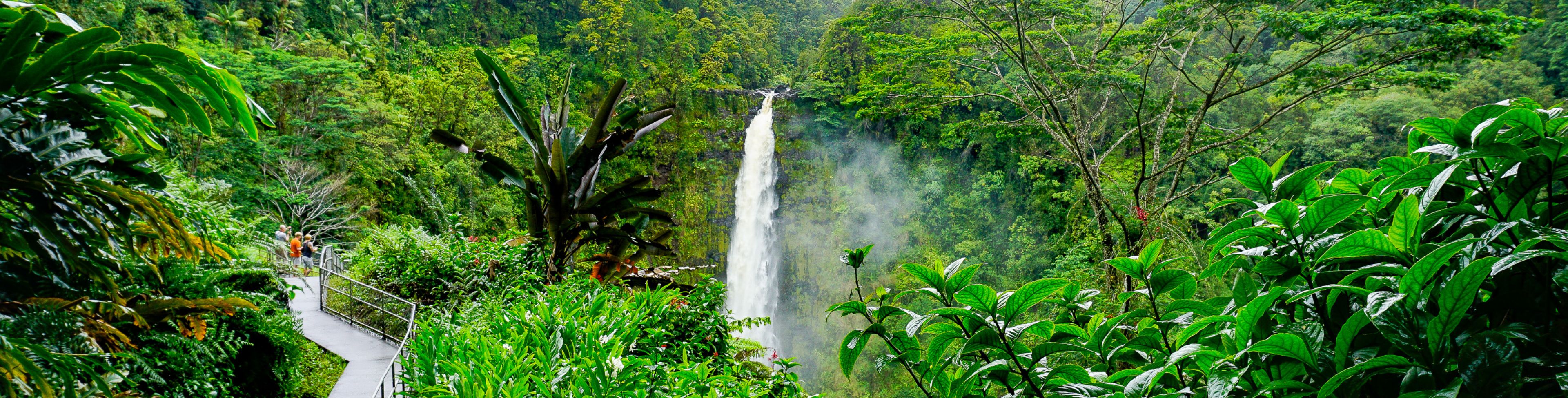 Waterfall surrounded by a forest of trees.