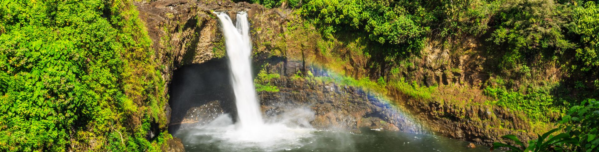 Waterfall surrounded by a forest of trees.