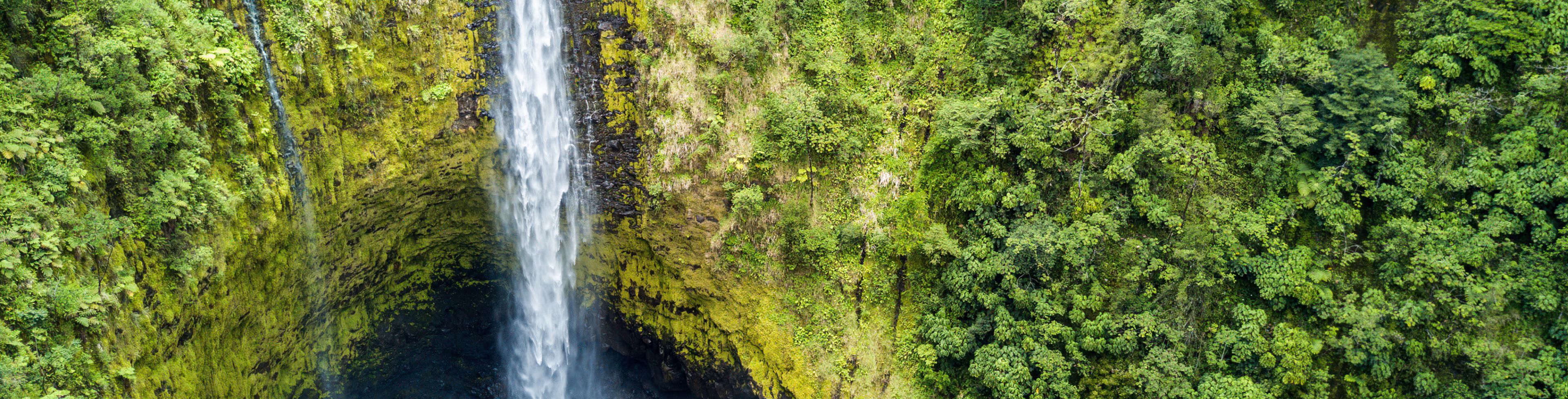 Waterfall surrounded by a forest of trees.