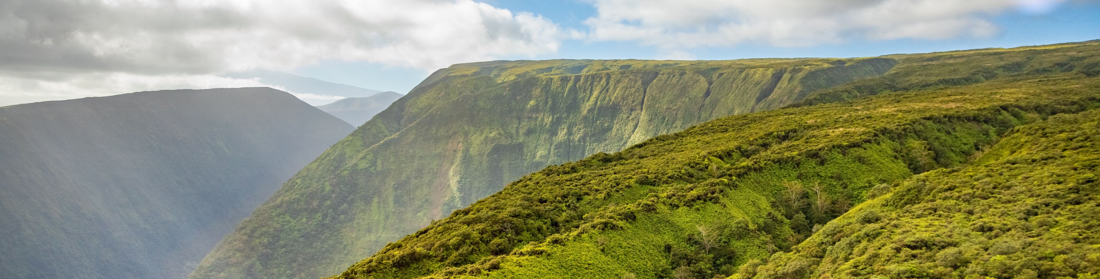 Grassy cliffs with the sun shining down.
