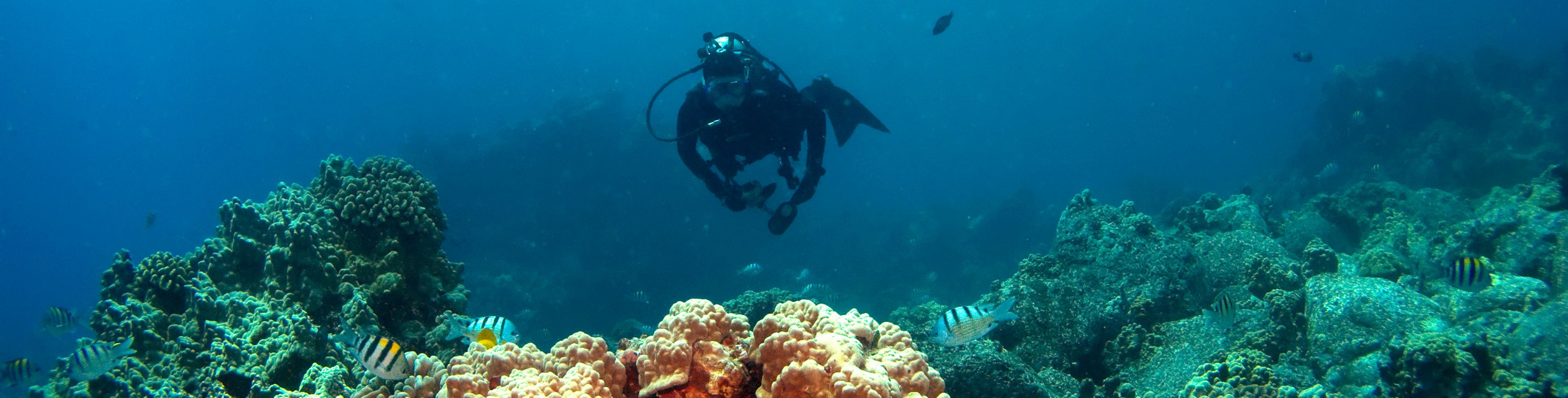 Person scuba diving under water near reefs.