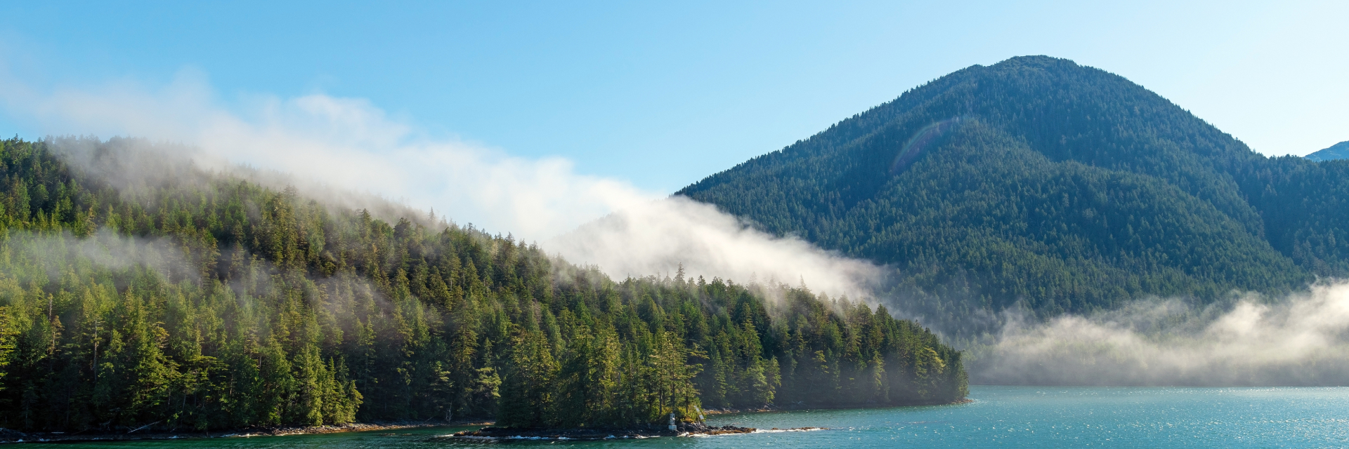 Mountain and Trees at the edge of the water.